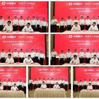 利用中國(guó)建材的綠色發(fā)展模式，保定整合全市礦山資源進(jìn)行規(guī)模化經(jīng)營(yíng)