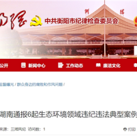 超時、超量、越界采砂！湖南通報6起生態(tài)環(huán)境領域違紀違法典型案例 2起與砂石有關(guān)！