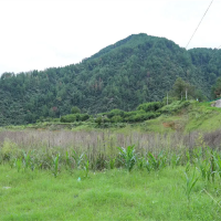 嚴厲打擊盜采盜挖礦產(chǎn)資源行為！國務院安委辦派出工作組明查暗訪